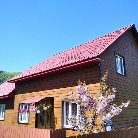 Відпочинок У Карпатах, Мінеральні Ванни, Банний Чан! Guest House Verkhnyaya Bystra Eksteriør bilde