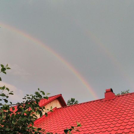 Відпочинок У Карпатах, Мінеральні Ванни, Банний Чан! Guest House Verkhnyaya Bystra Eksteriør bilde