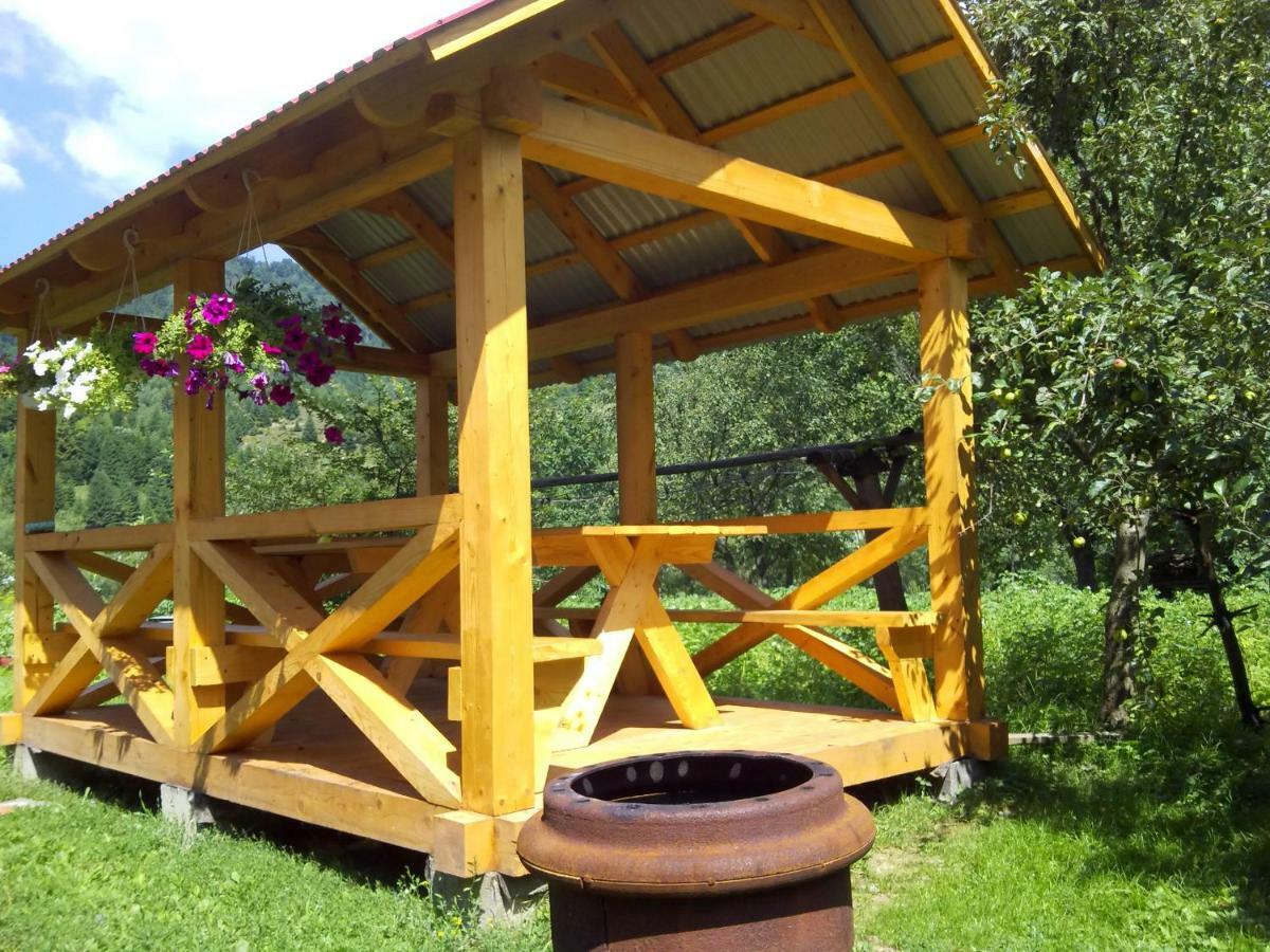 Відпочинок У Карпатах, Мінеральні Ванни, Банний Чан! Guest House Verkhnyaya Bystra Eksteriør bilde