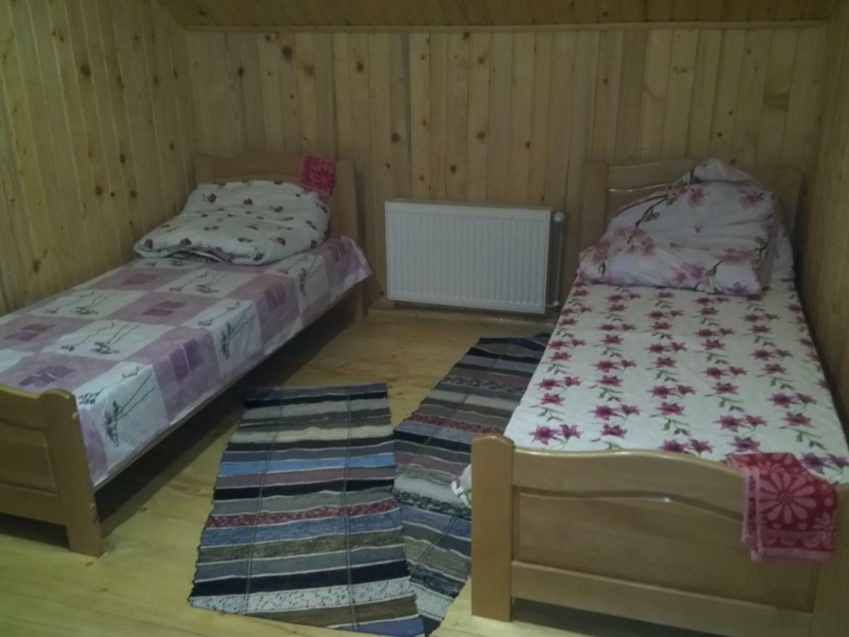 Відпочинок У Карпатах, Мінеральні Ванни, Банний Чан! Guest House Verkhnyaya Bystra Eksteriør bilde