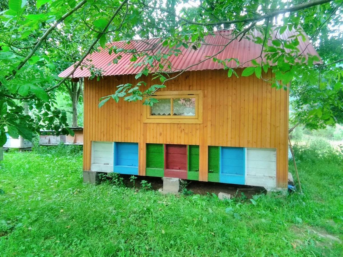 Відпочинок У Карпатах, Мінеральні Ванни, Банний Чан! Guest House Verkhnyaya Bystra Eksteriør bilde